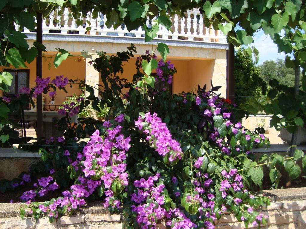 Apartments Alice Green Oasis - Poreč Zimmer foto